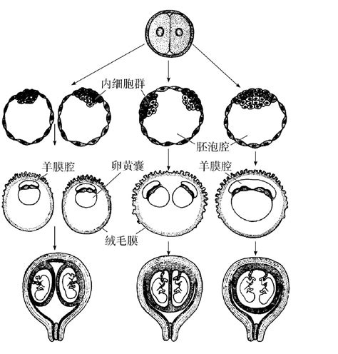 背有胎記